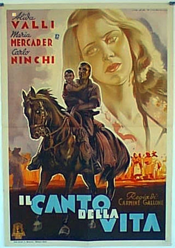 Il canto della vita photo