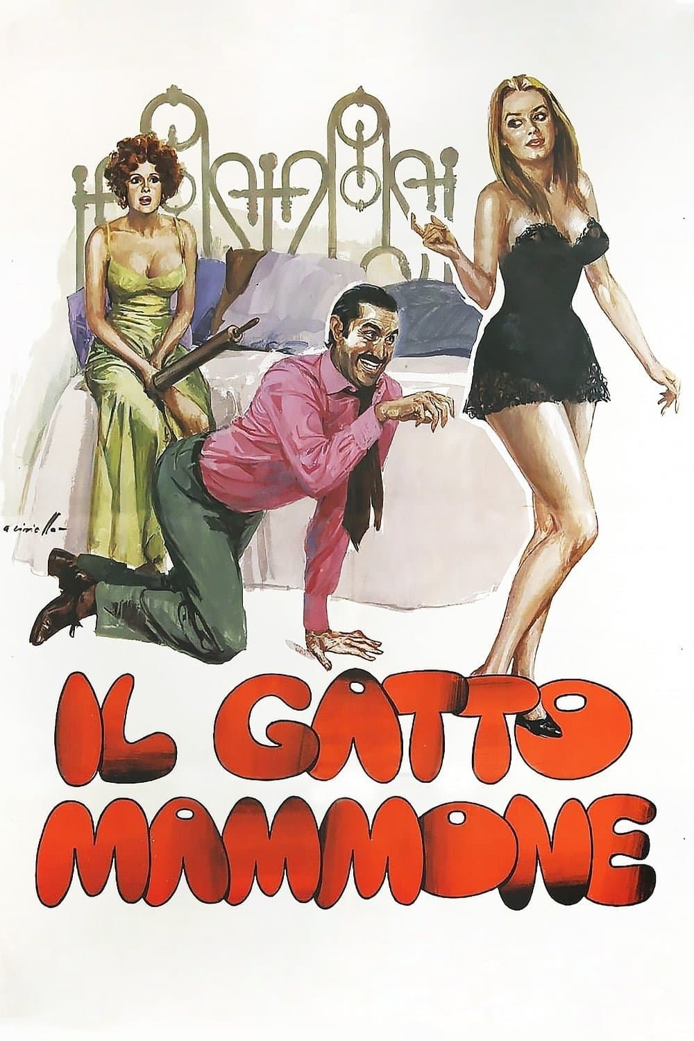 Il gatto mammone photo
