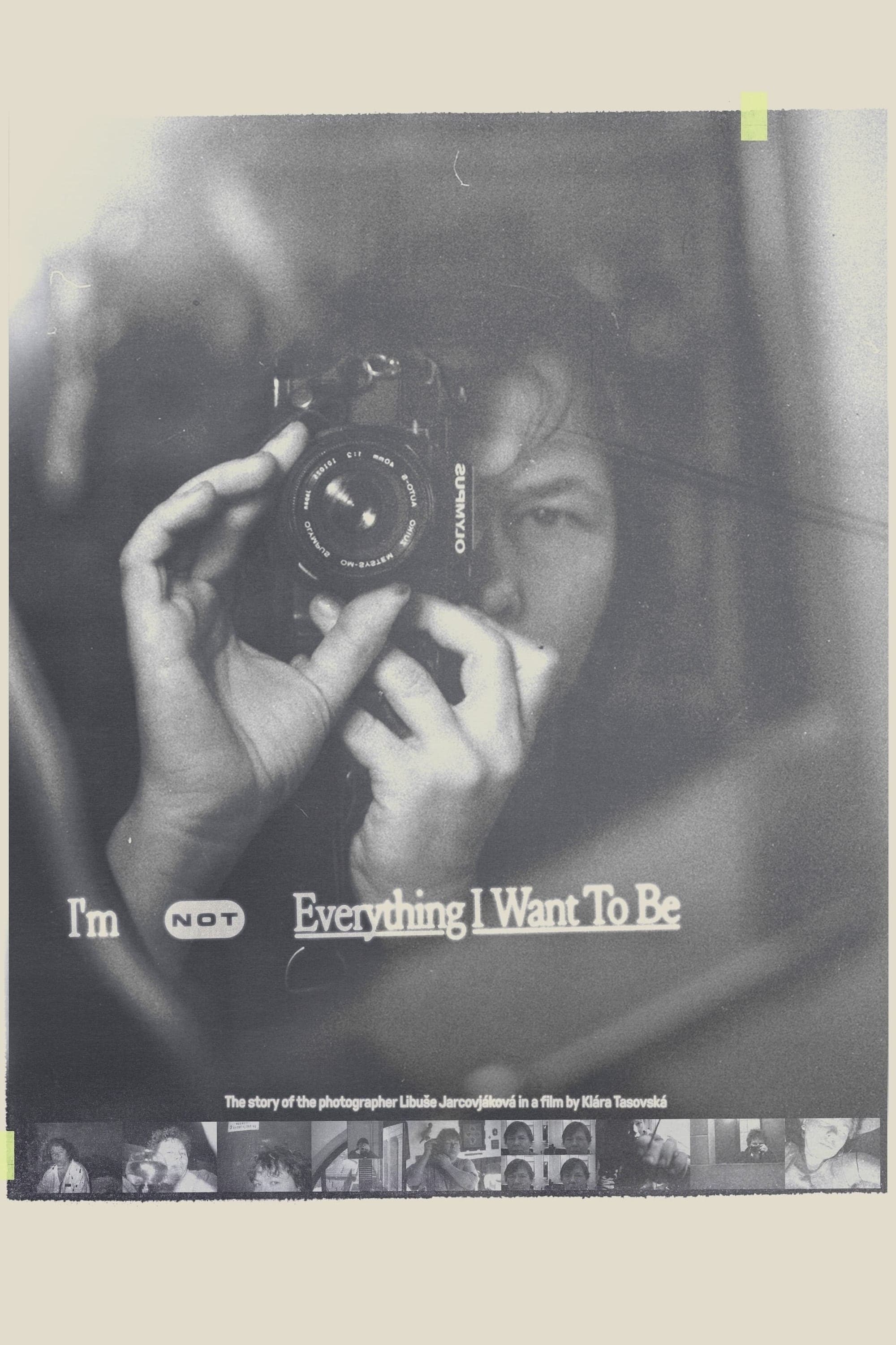 I'm Not Everything I Want to Be photo