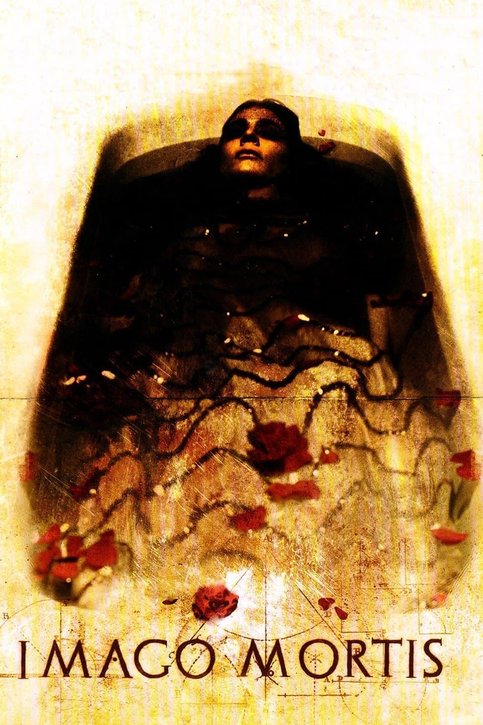 Imago Mortis photo