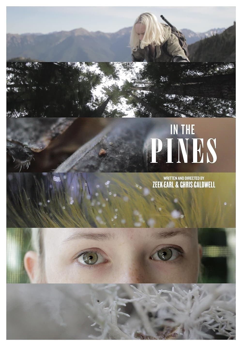 In the Pines photo