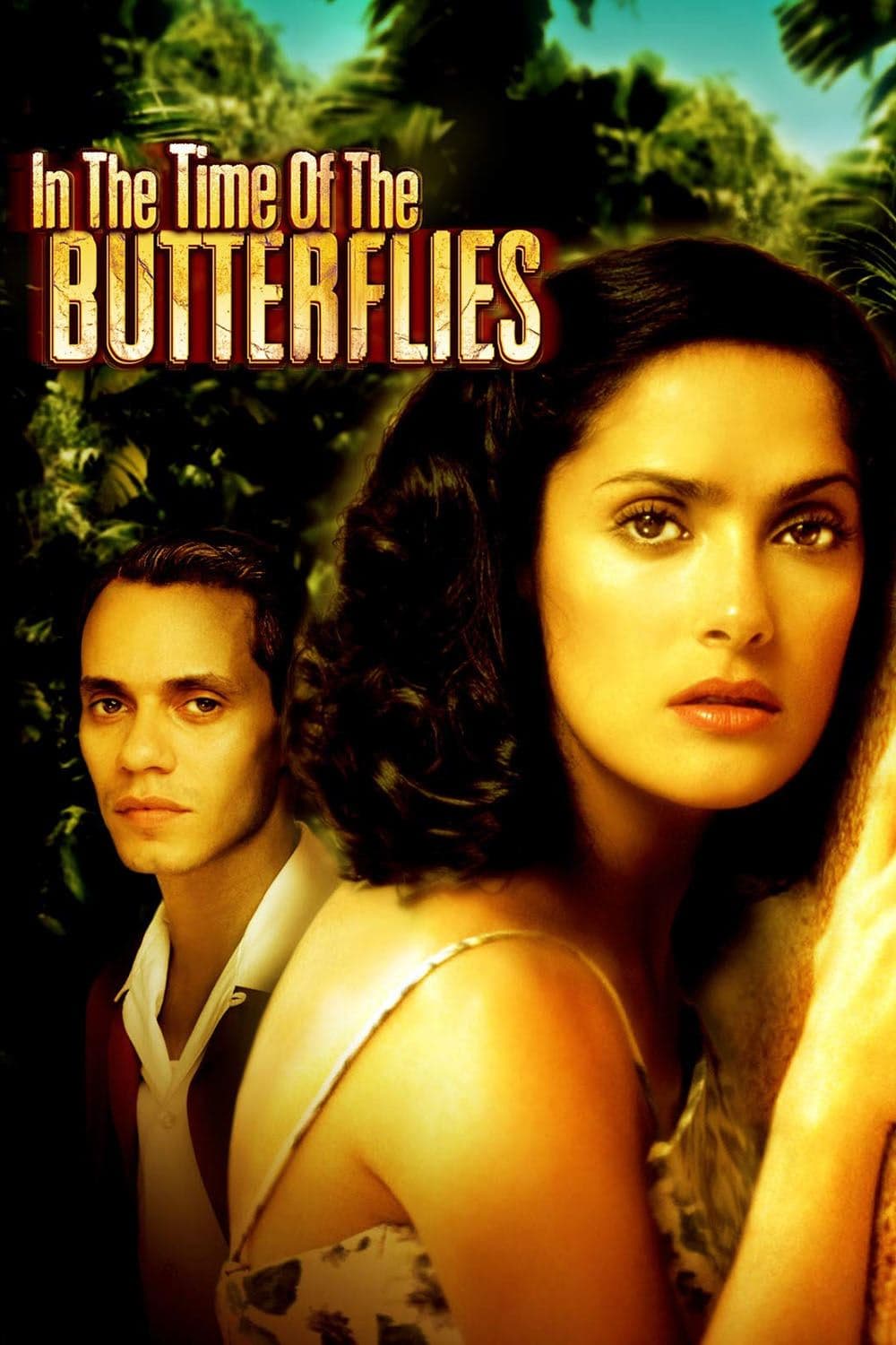 In the Time of the Butterflies photo