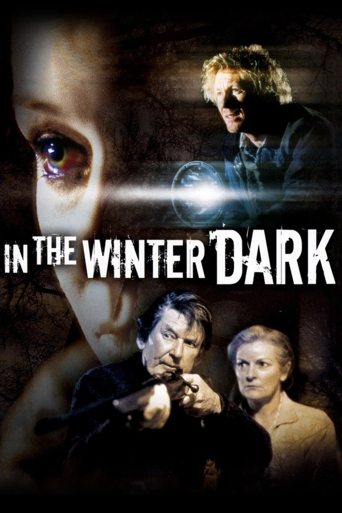 In the Winter Dark photo