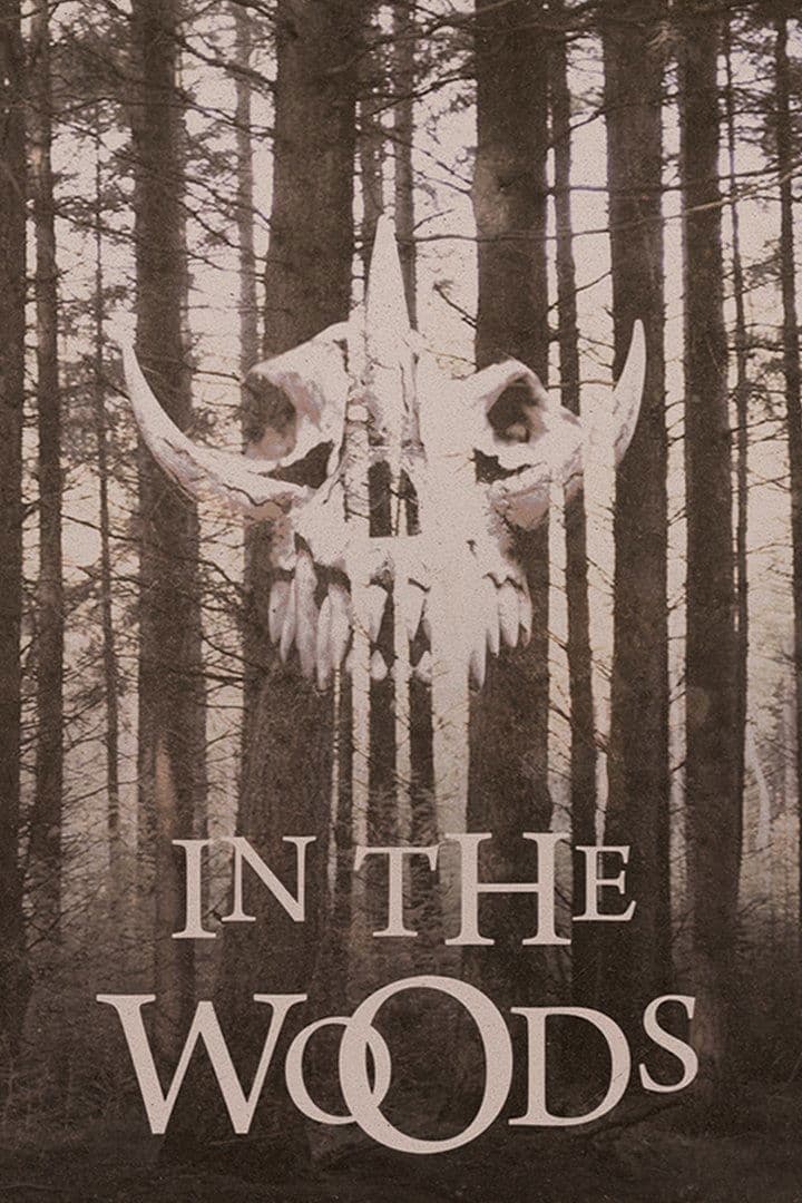 In the Woods photo