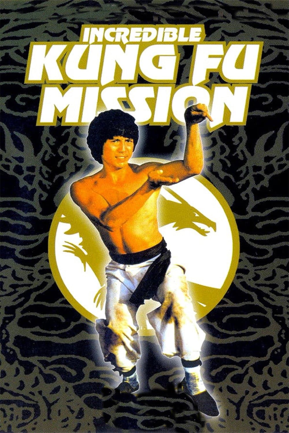 Incredible Kung Fu Mission photo
