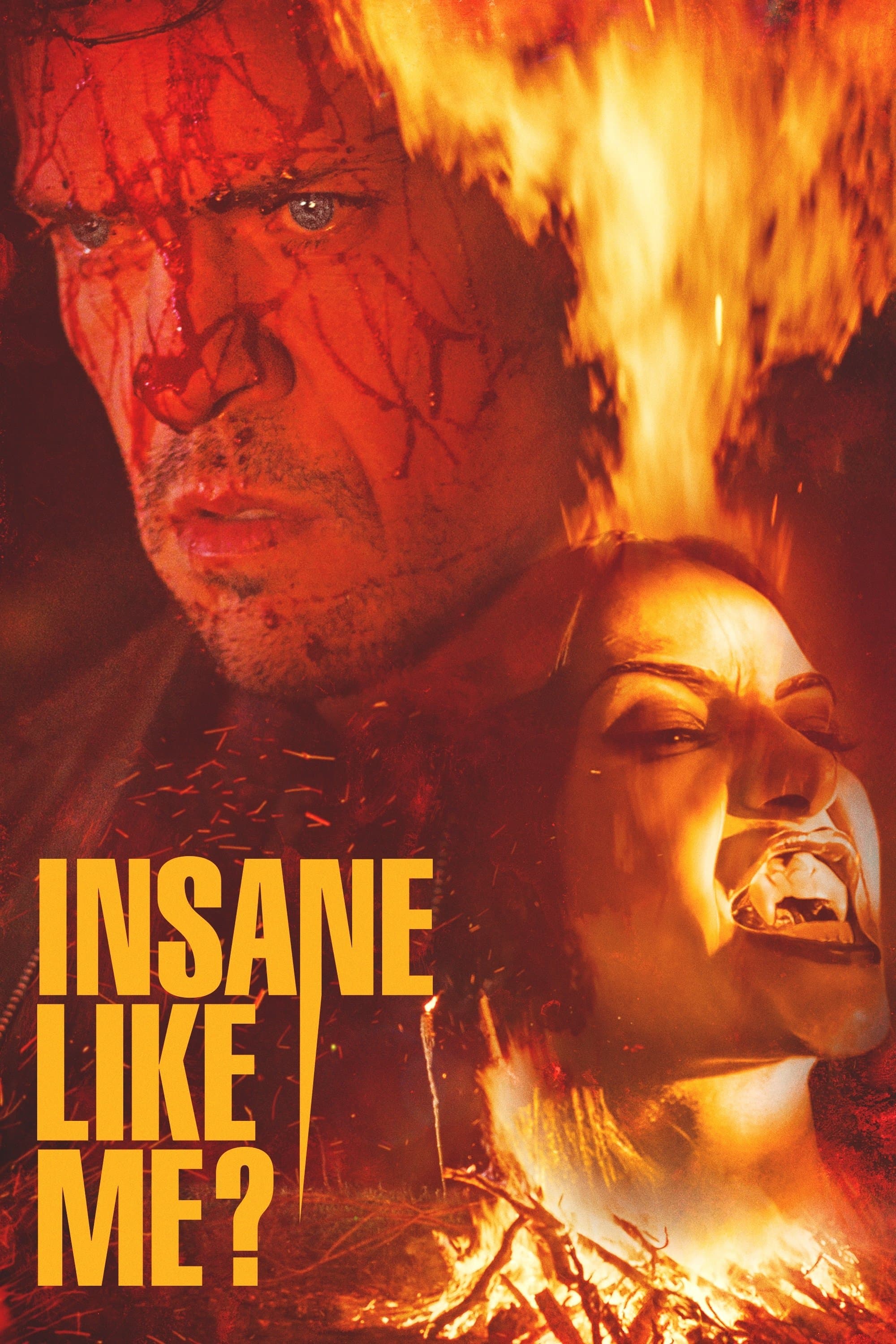 Insane Like Me? photo