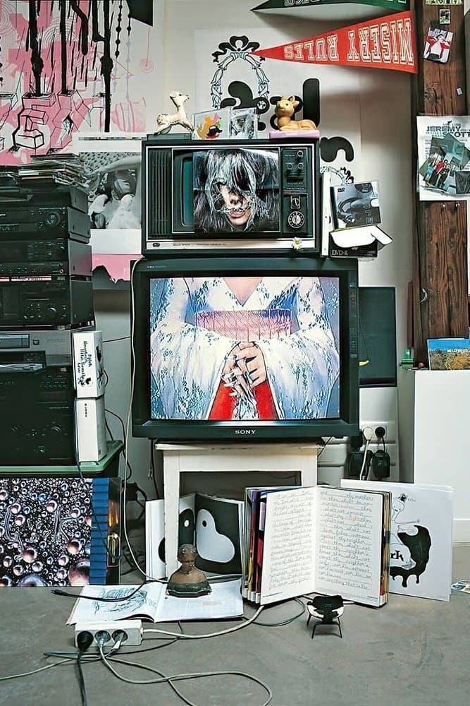 Inside Björk photo
