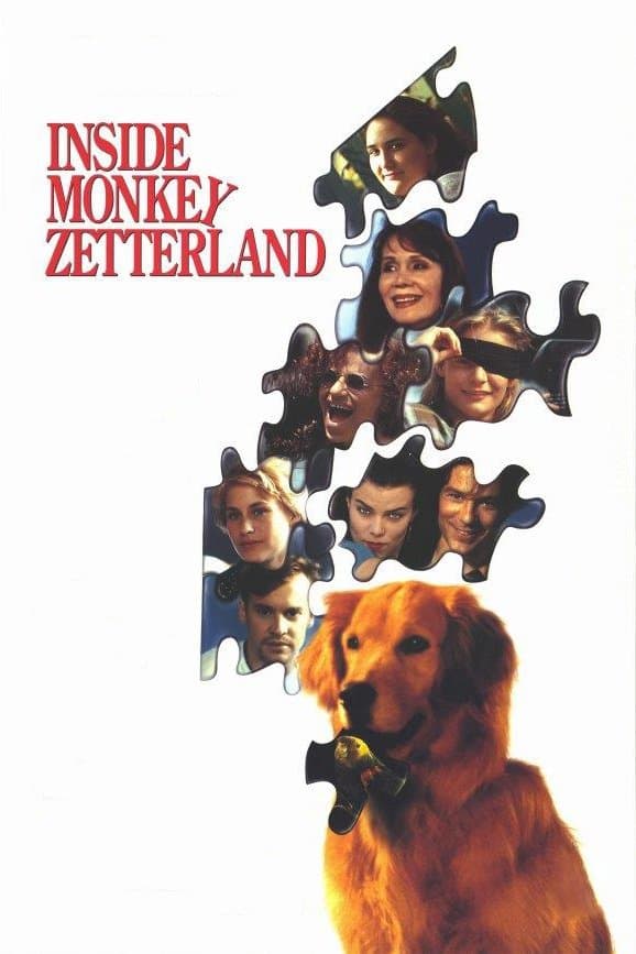 Inside Monkey Zetterland photo
