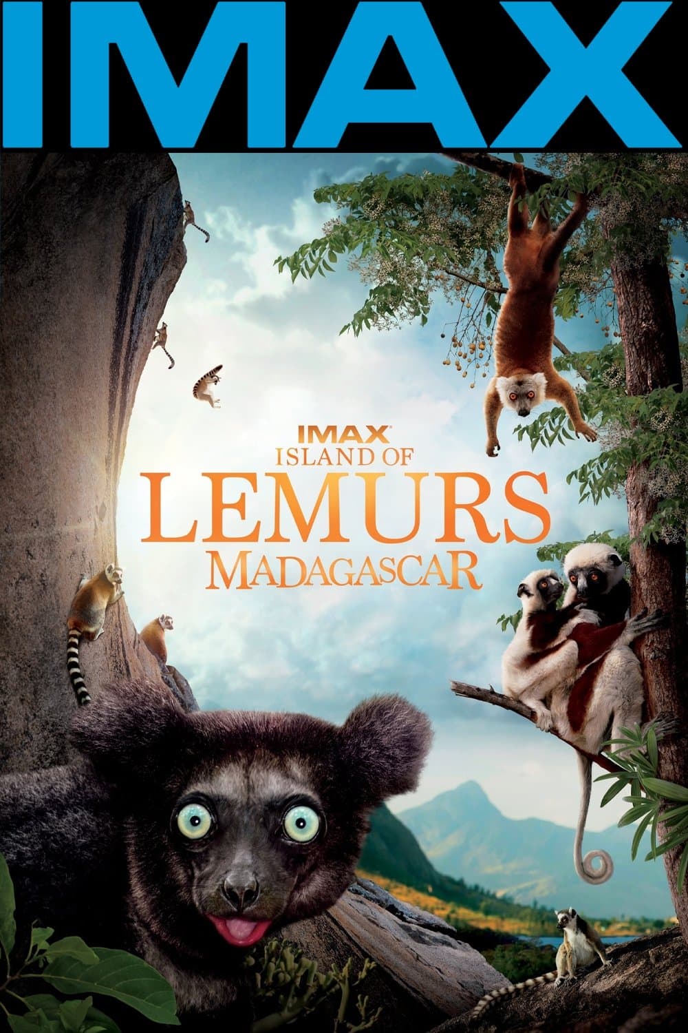 Island of Lemurs: Madagascar photo