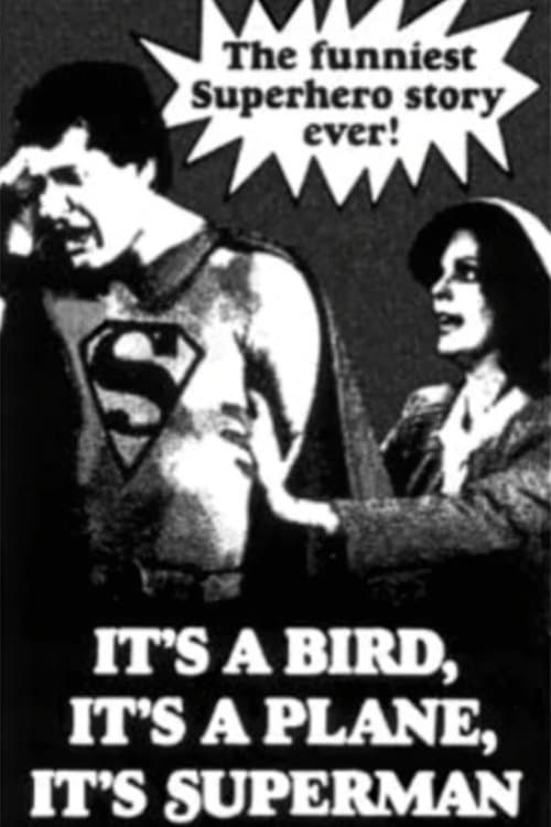 It's a Bird, It's a Plane, It's Superman! photo