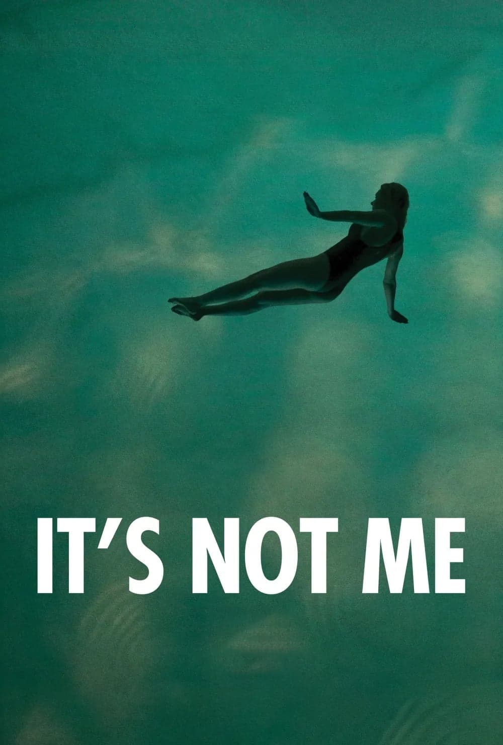 It's Not Me photo