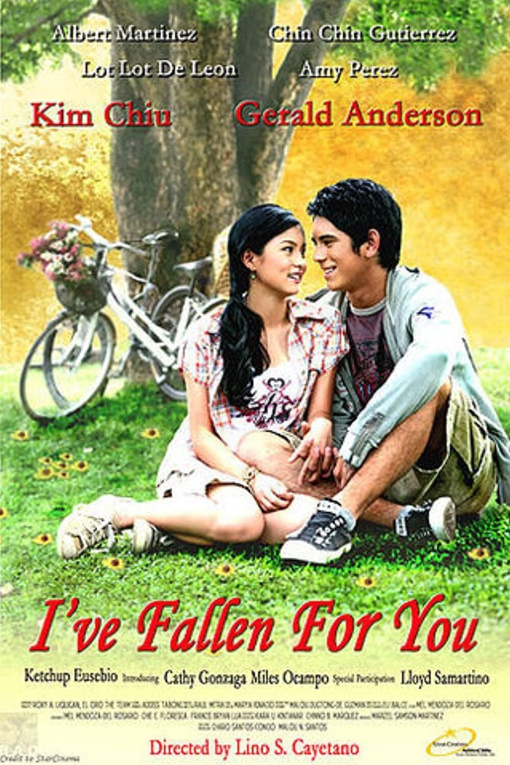 I've Fallen for You photo