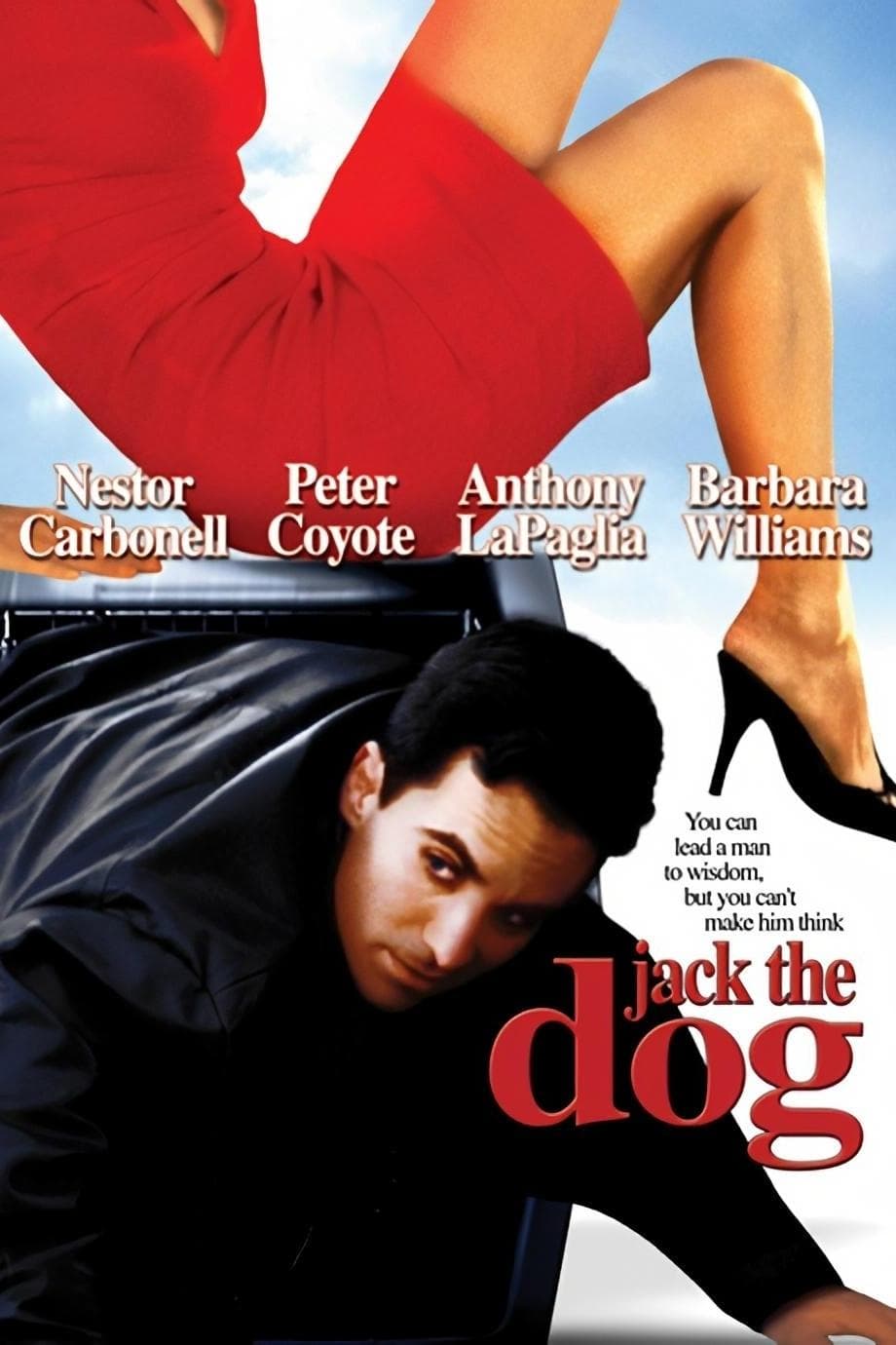 Jack the Dog photo
