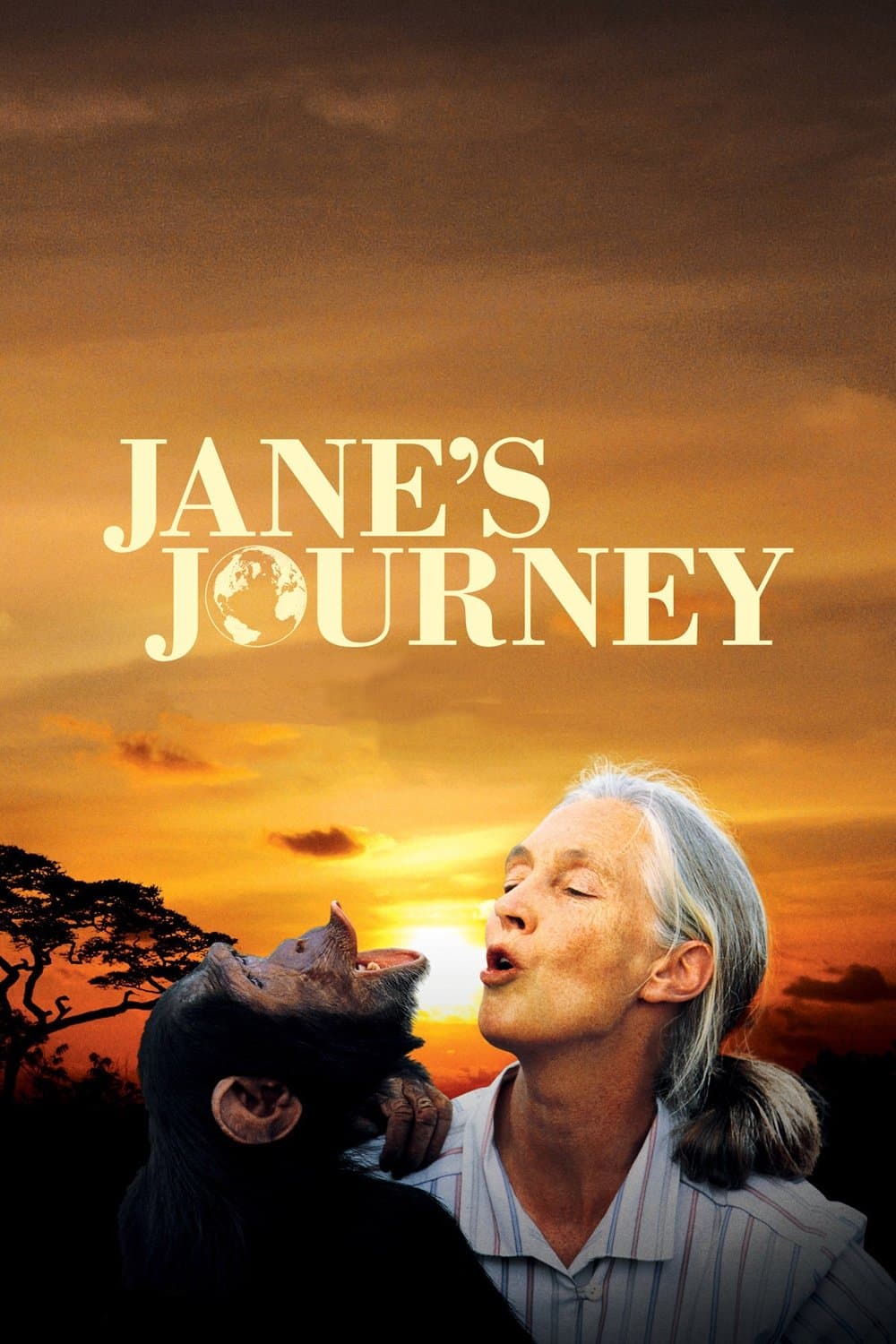 Jane's Journey photo