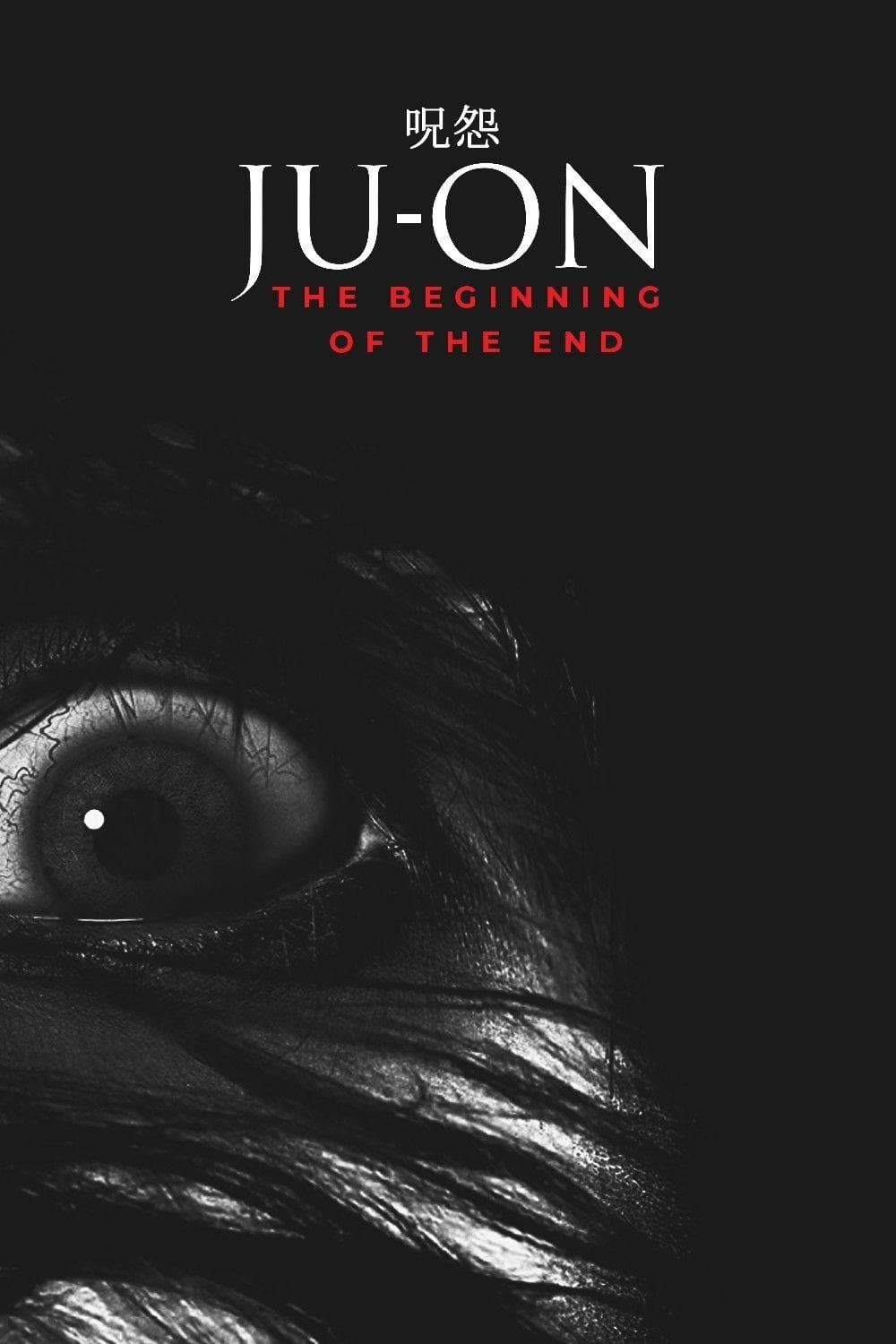 Ju-on: The Beginning of the End photo