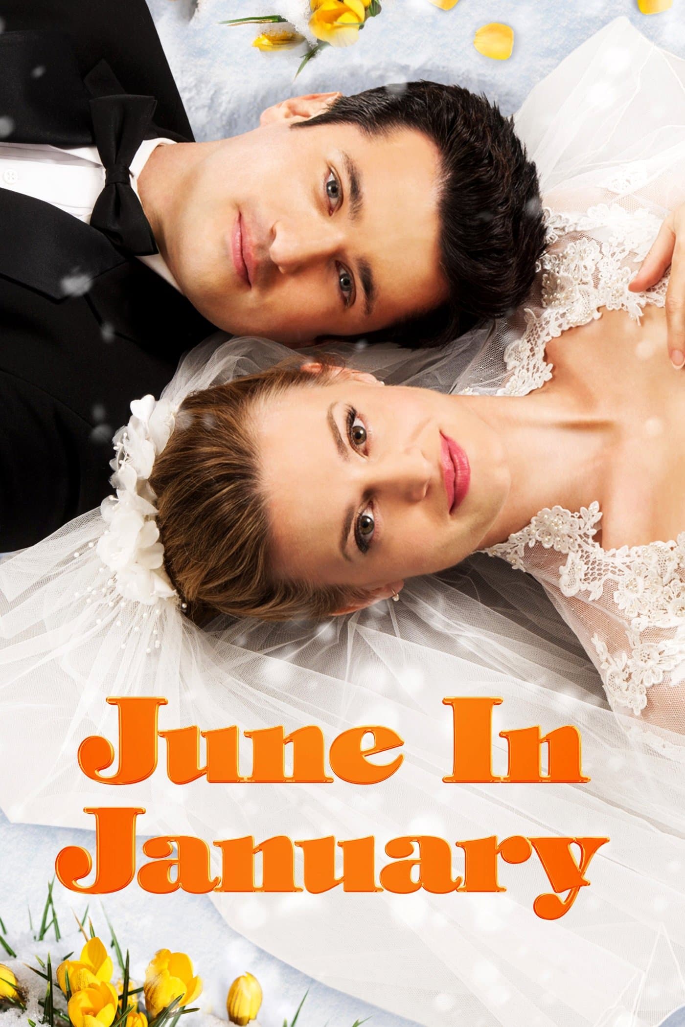 June in January photo