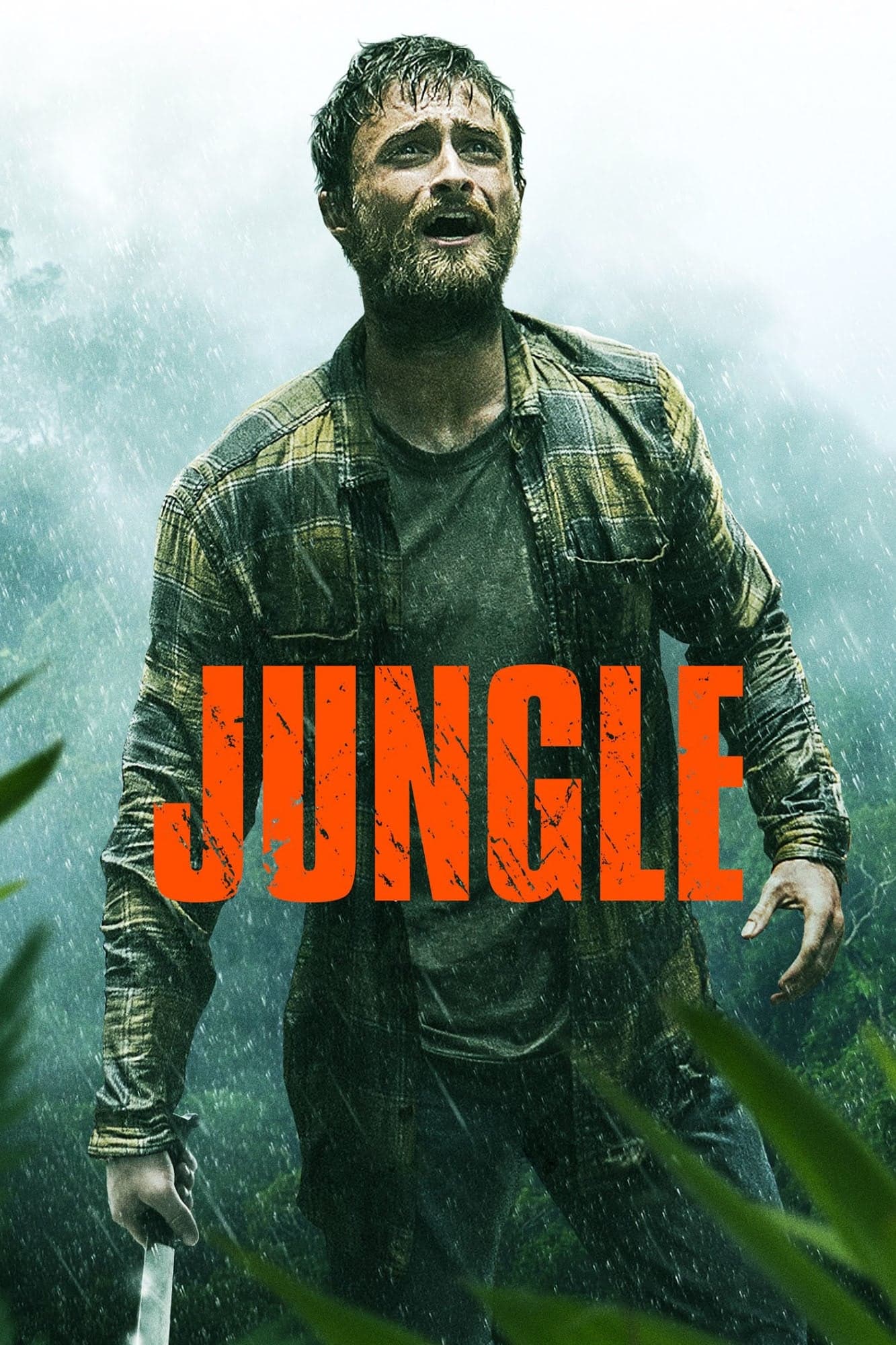 Jungle photo