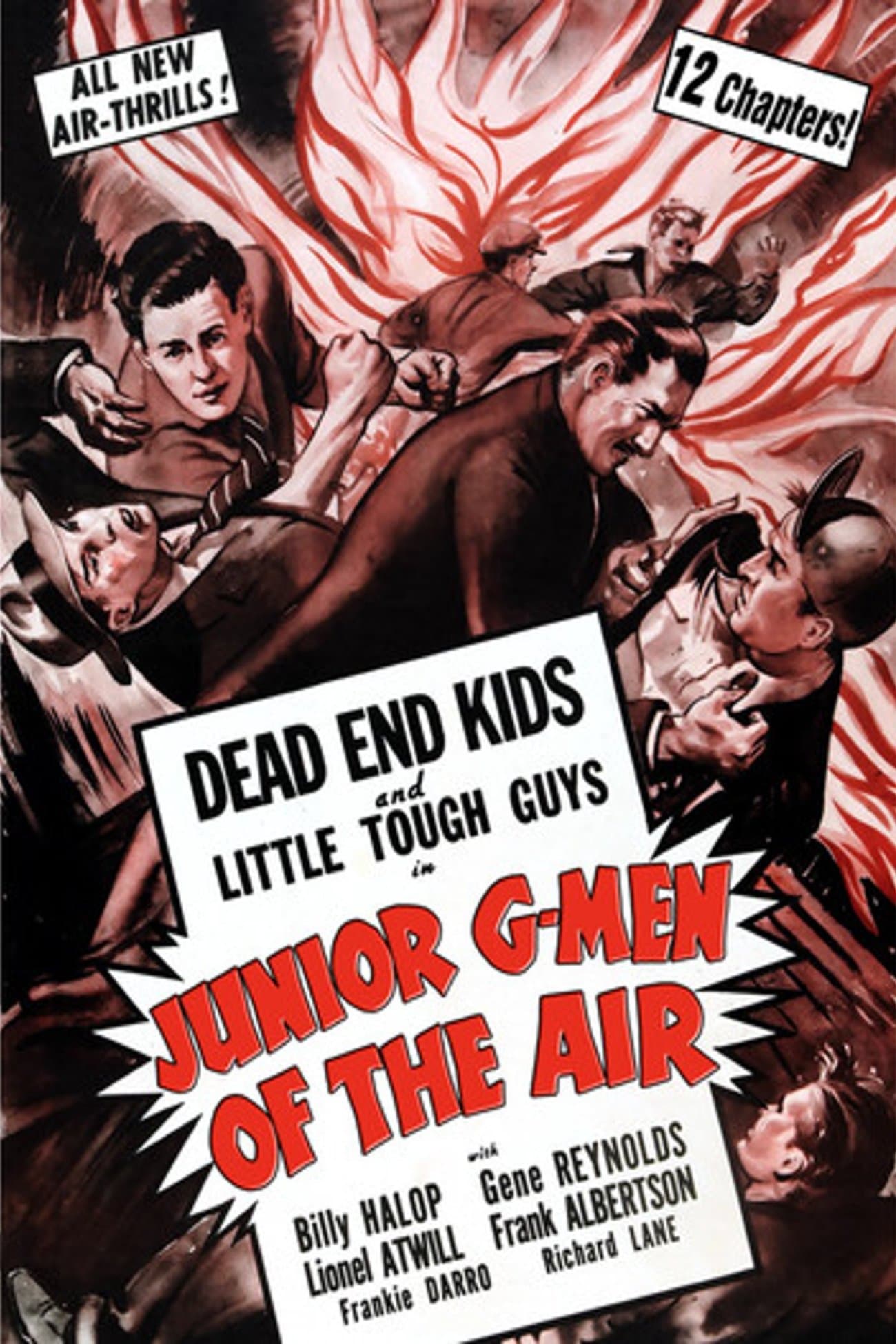 Junior G-Men of the Air photo