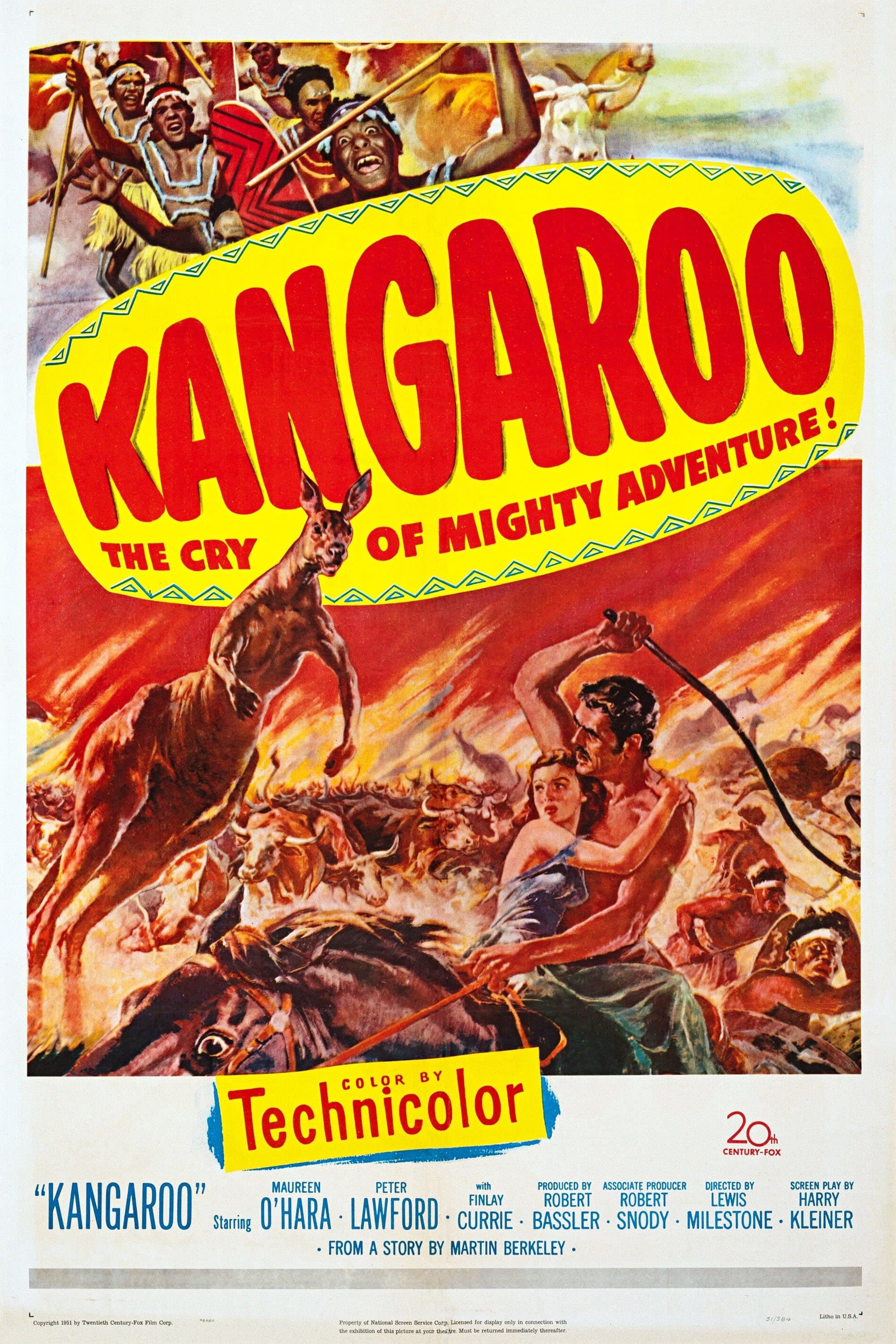 Kangaroo photo