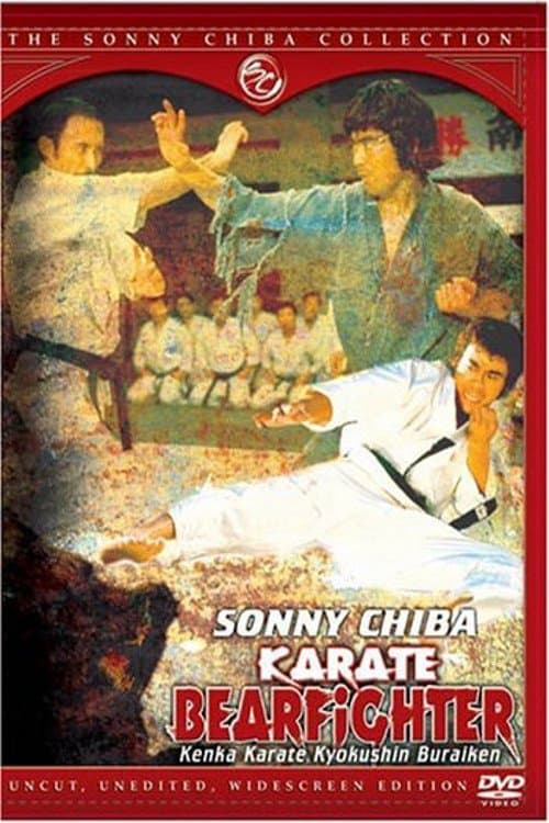 Karate Bear Fighter photo