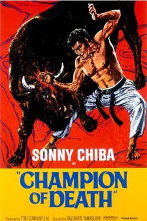 Karate Bullfighter photo