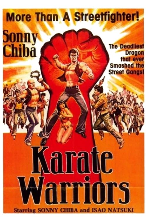 Karate Warriors photo