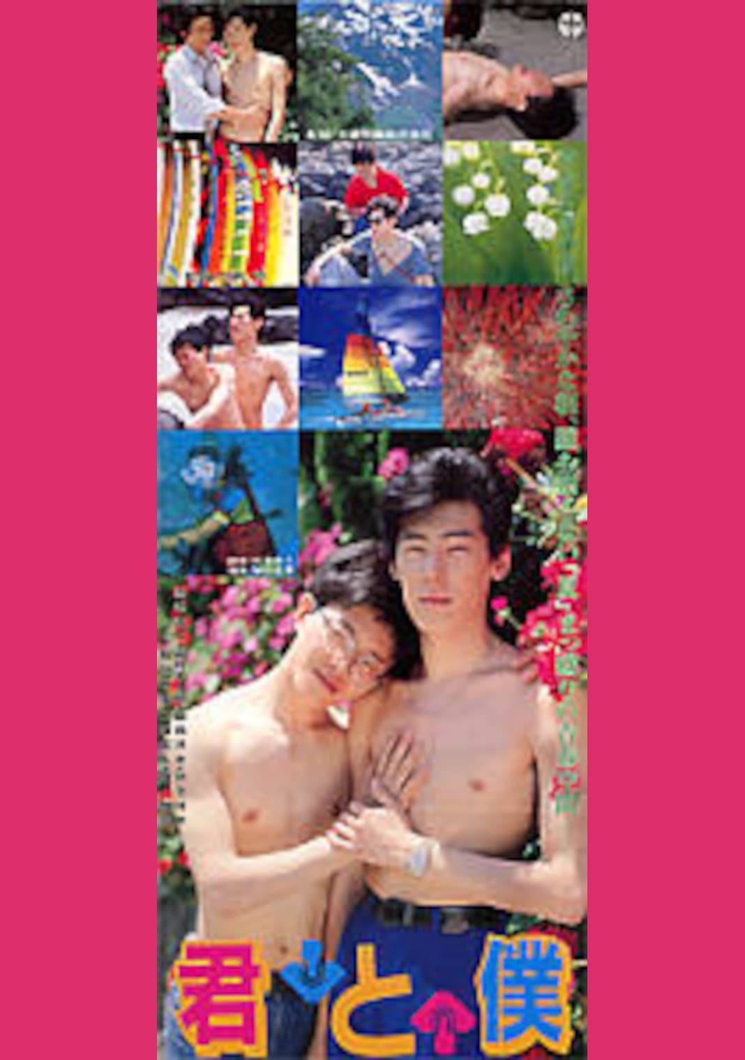 Kimi to boku photo