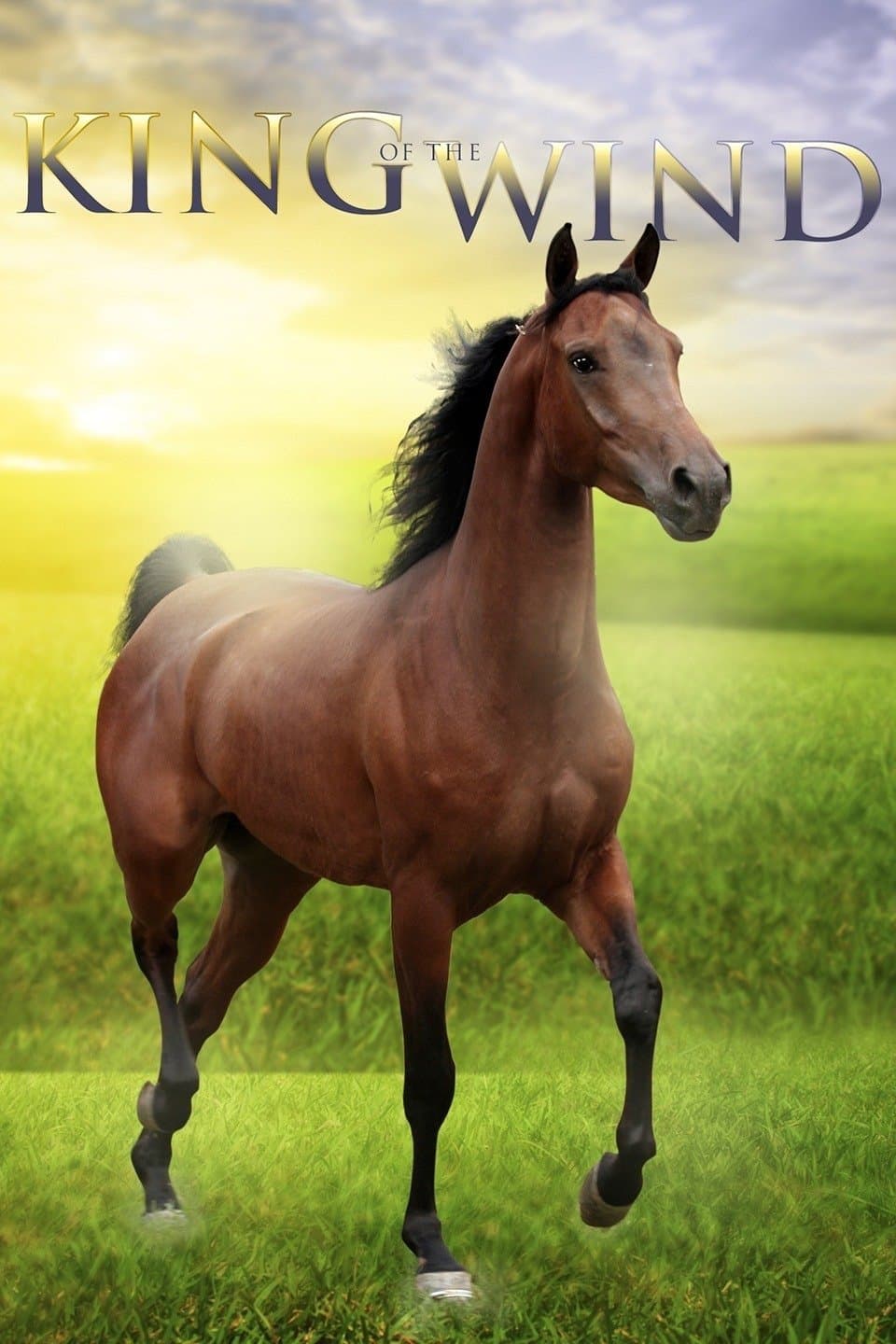 King of the Wind photo