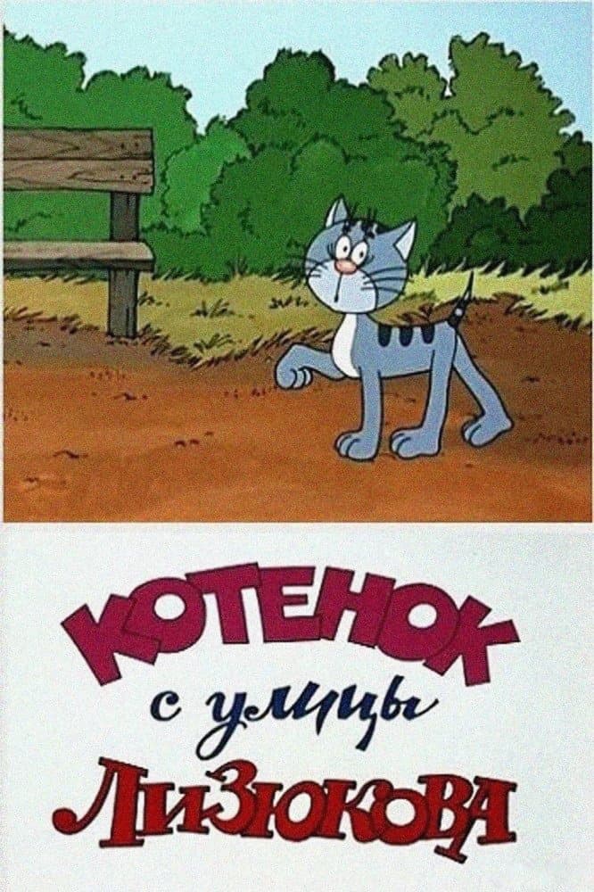 Kitten from Lizyukova Street photo