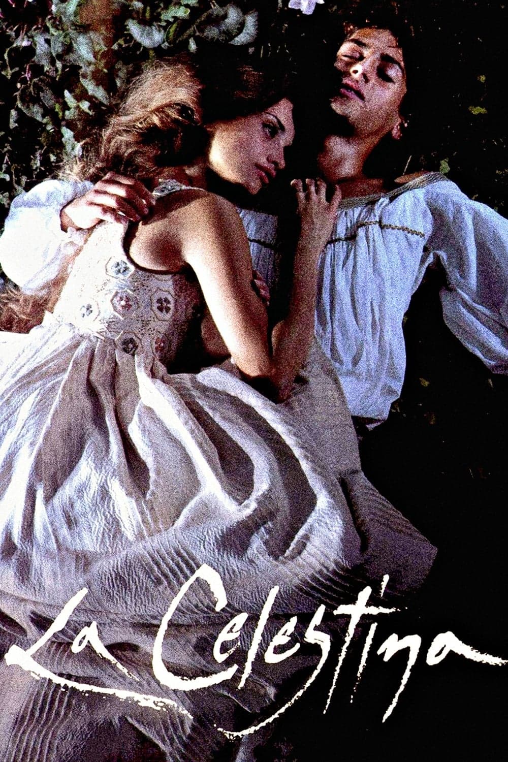 La Celestina photo