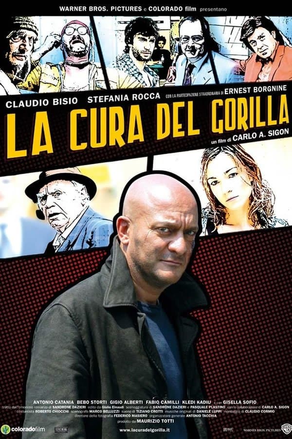 La cura del gorilla photo