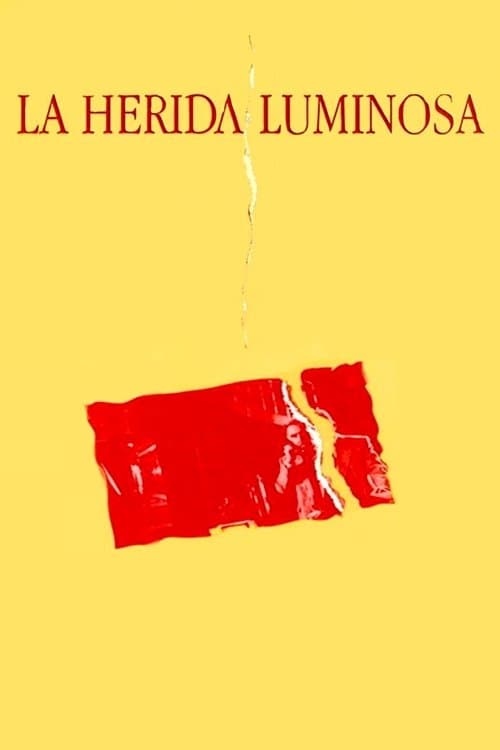 La herida luminosa photo