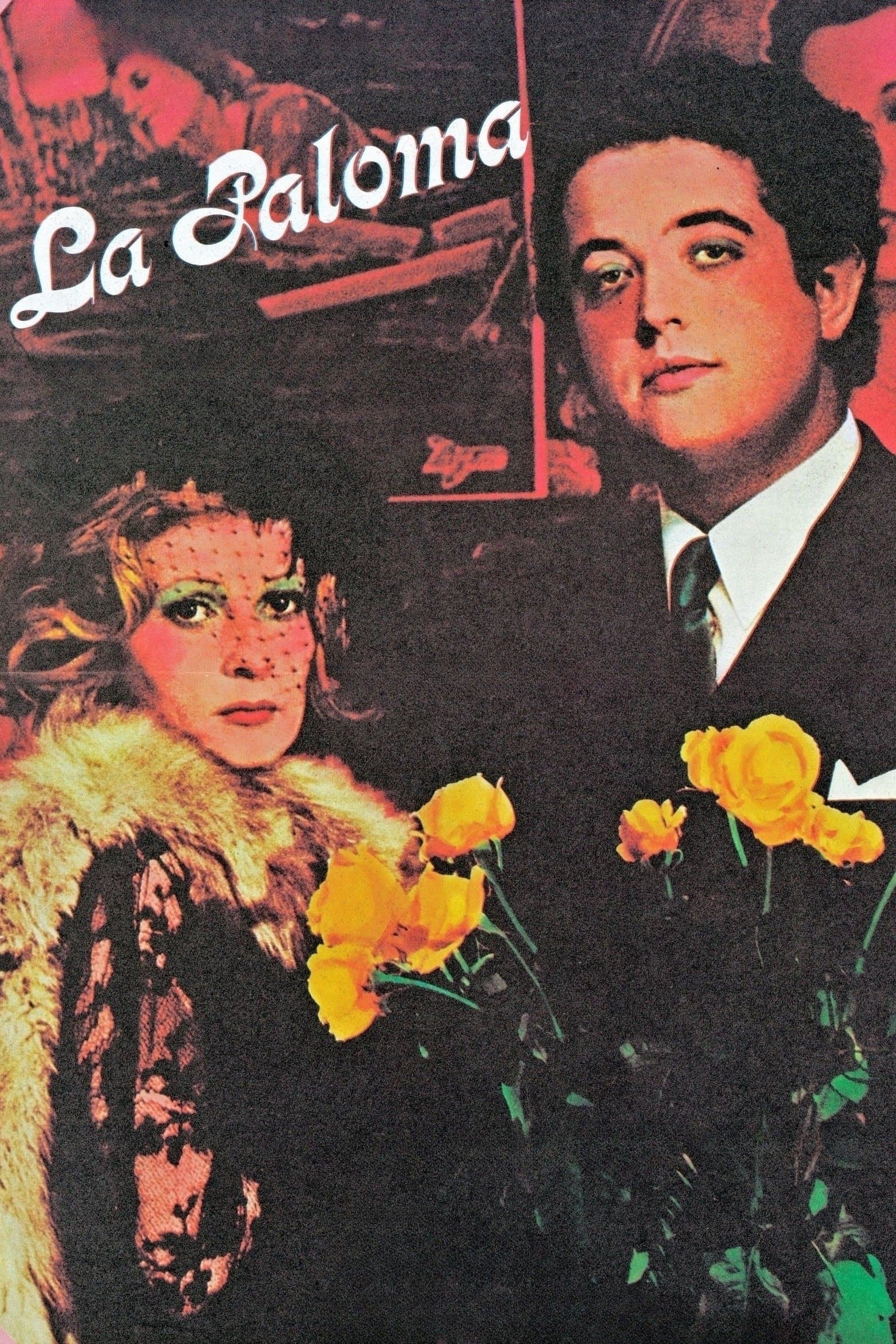 La Paloma photo