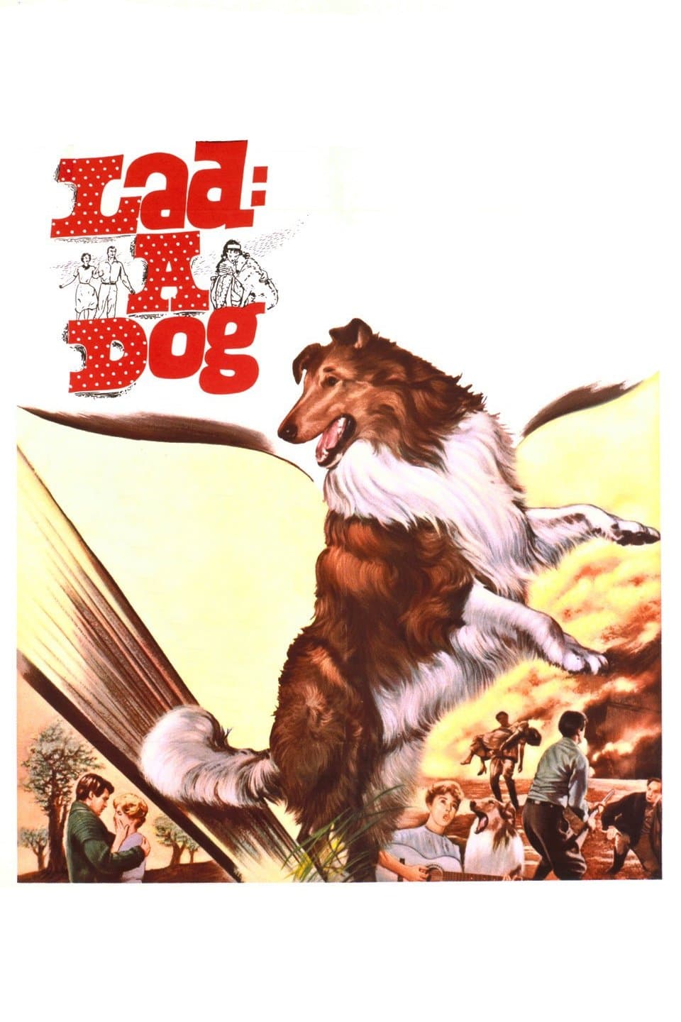 Lad: A Dog photo
