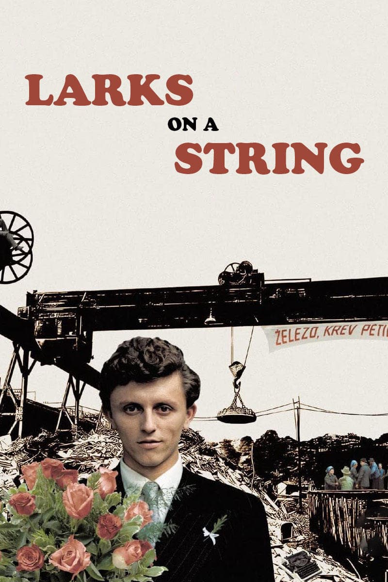 Larks on a String photo