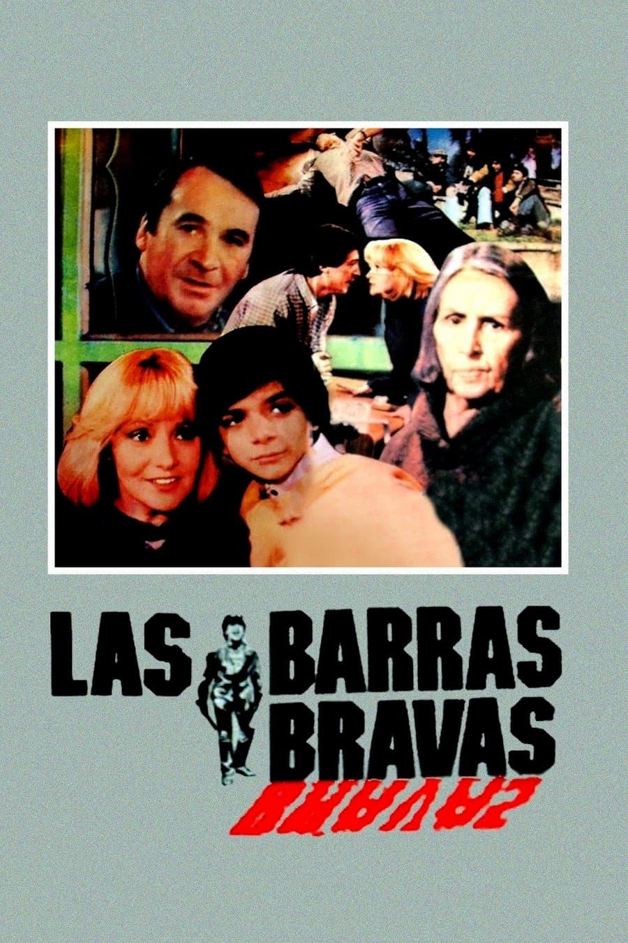 Las barras bravas photo