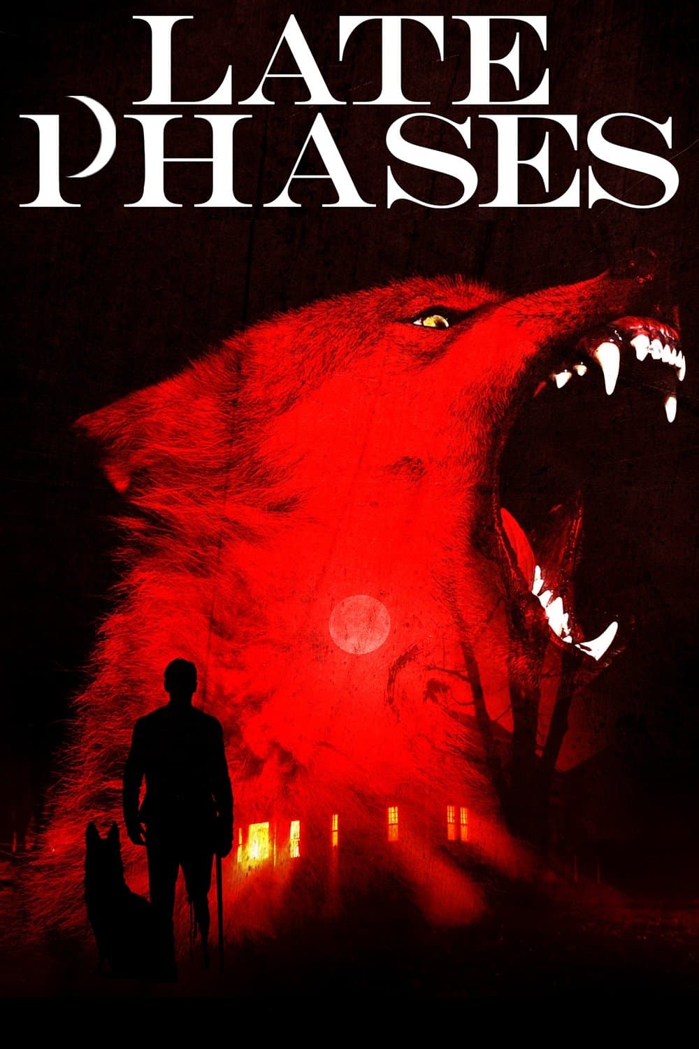 Late Phases photo
