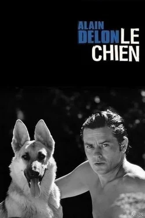 Le Chien photo
