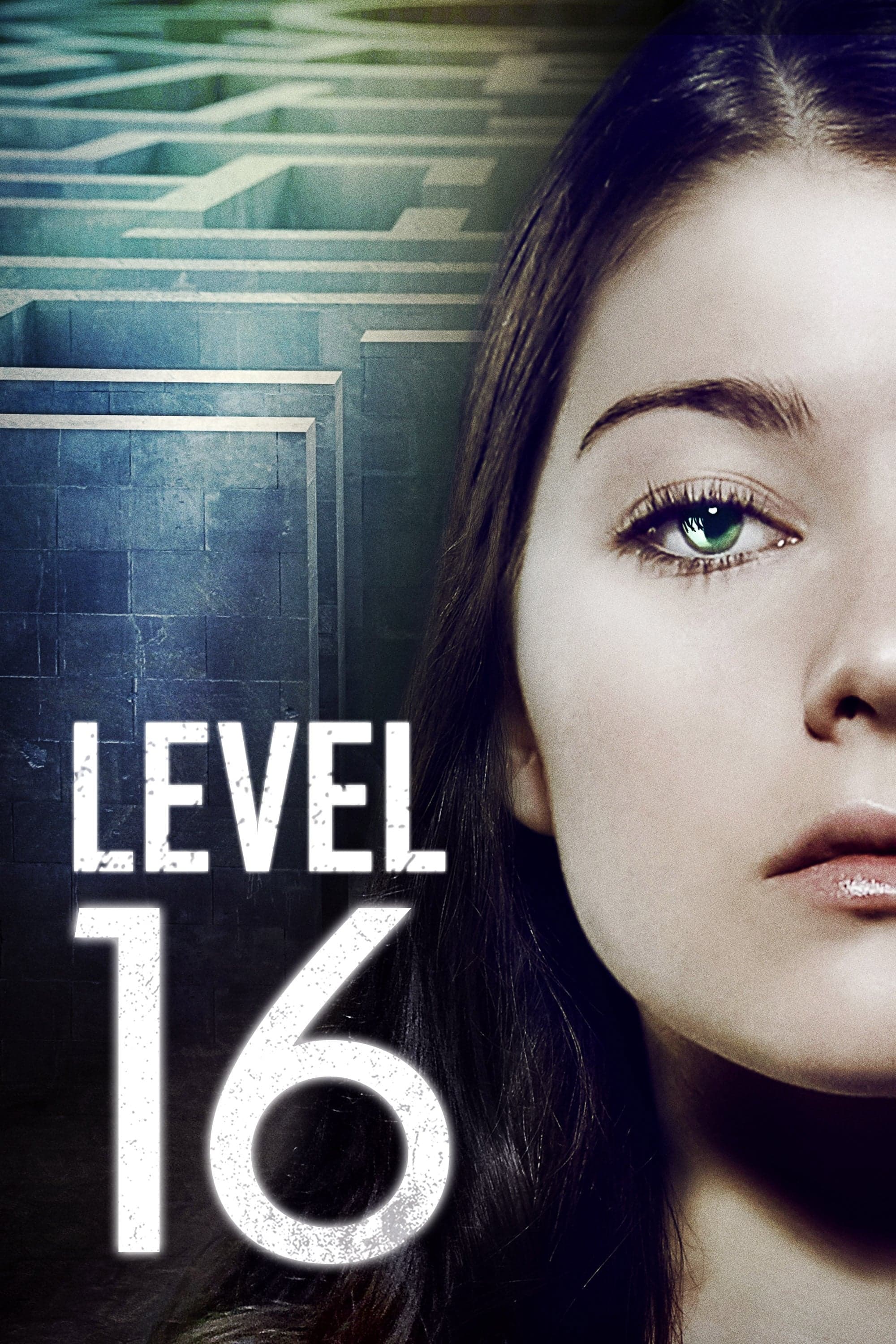 Level 16 photo