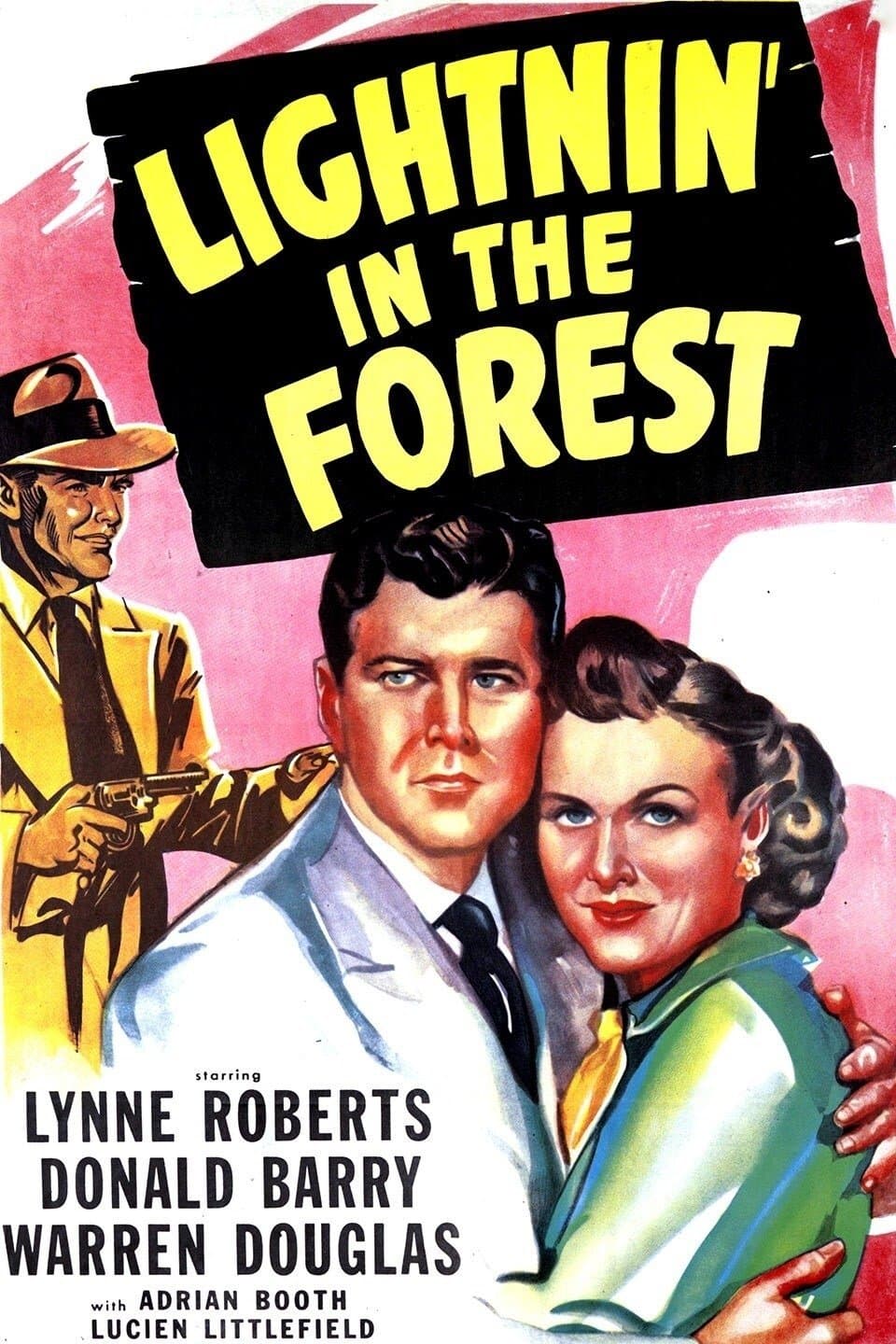 Lightnin' in the Forest photo