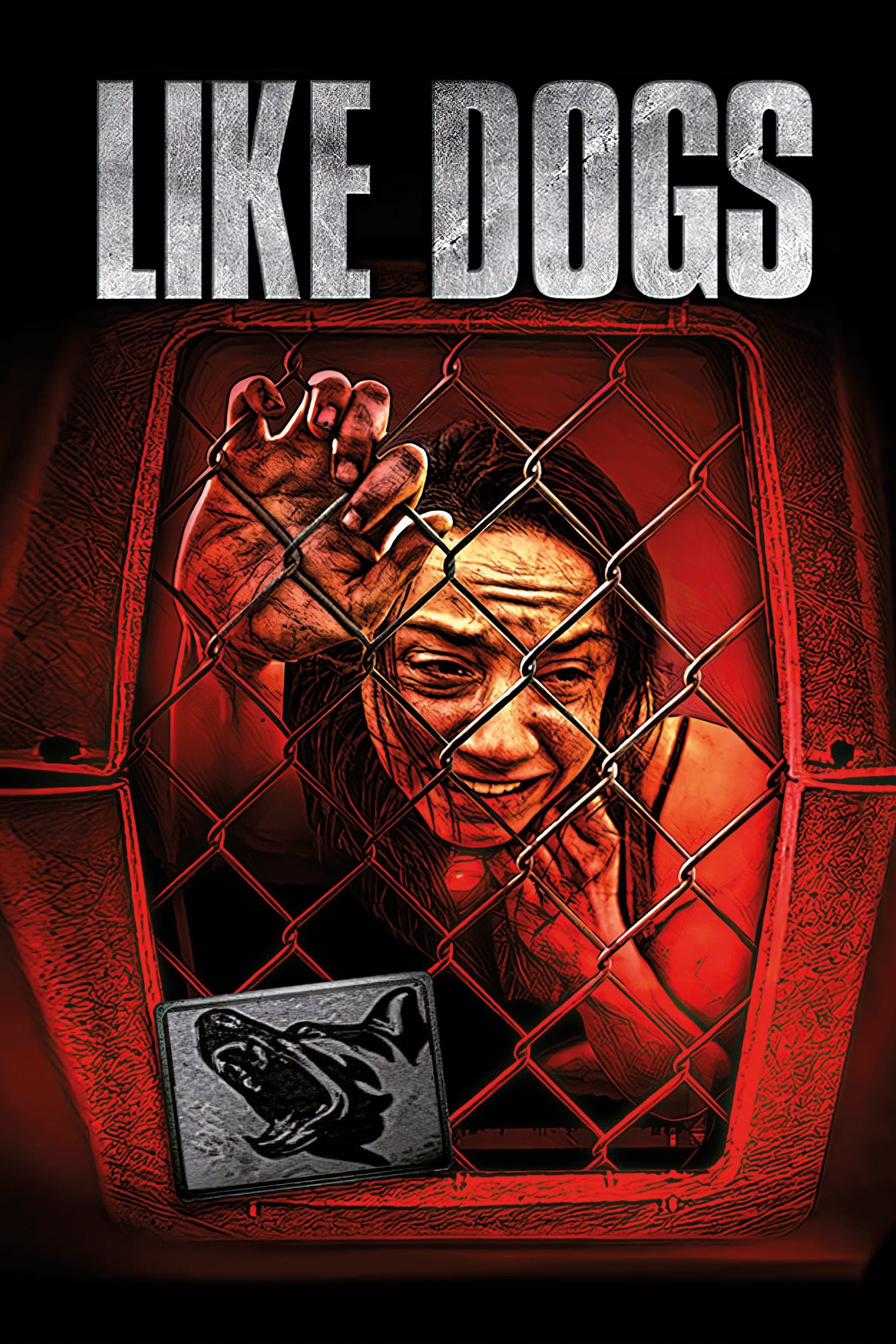 Like Dogs photo