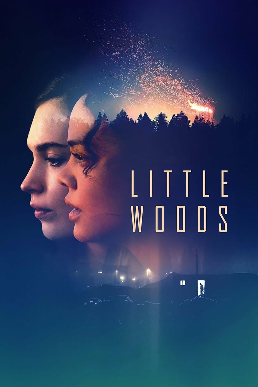 Little Woods photo