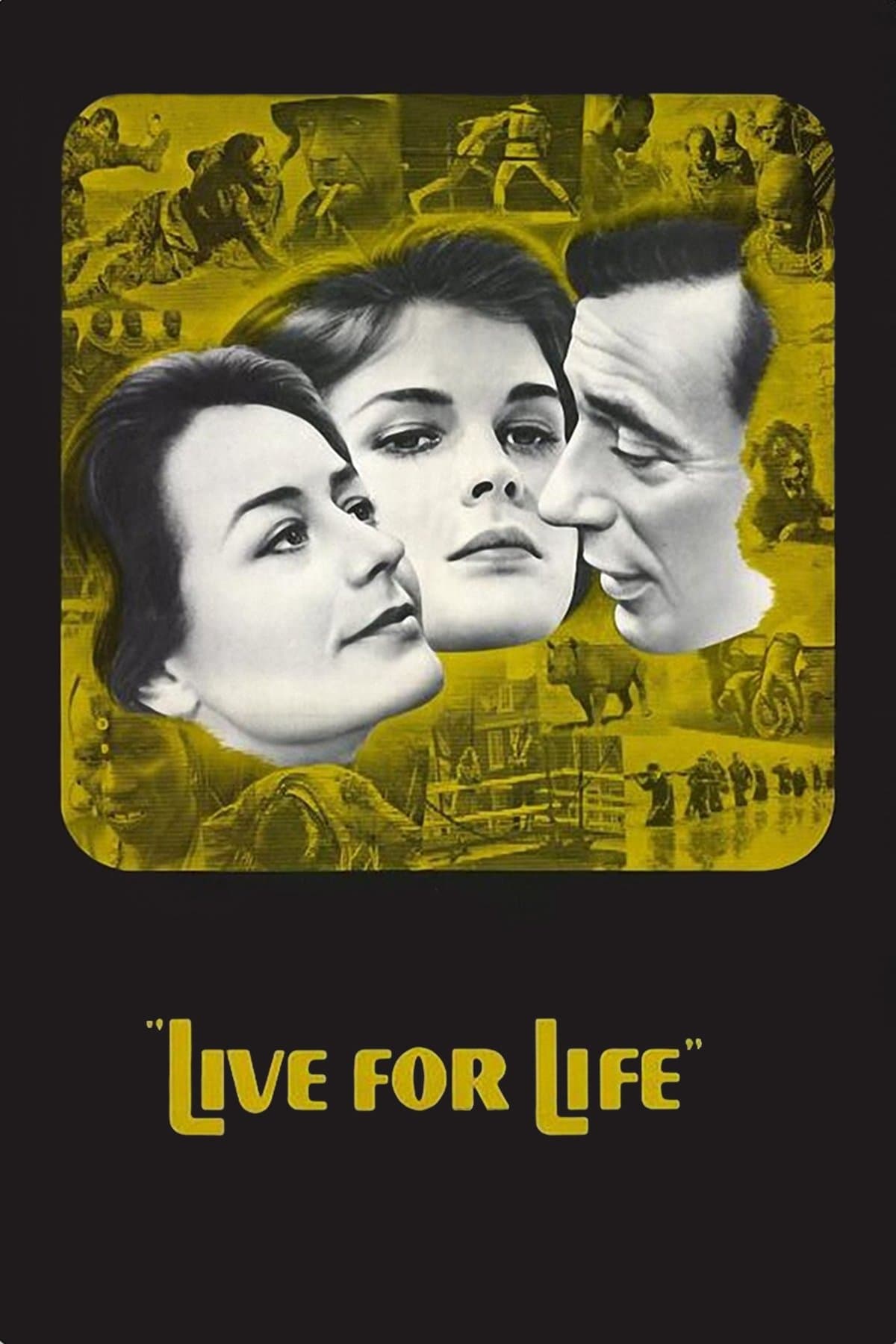 Live for Life photo