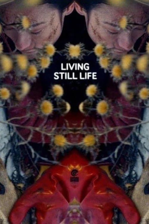 Living Still Life photo