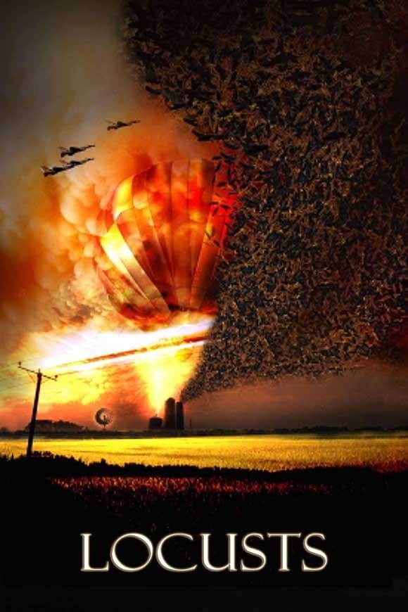 Locusts photo