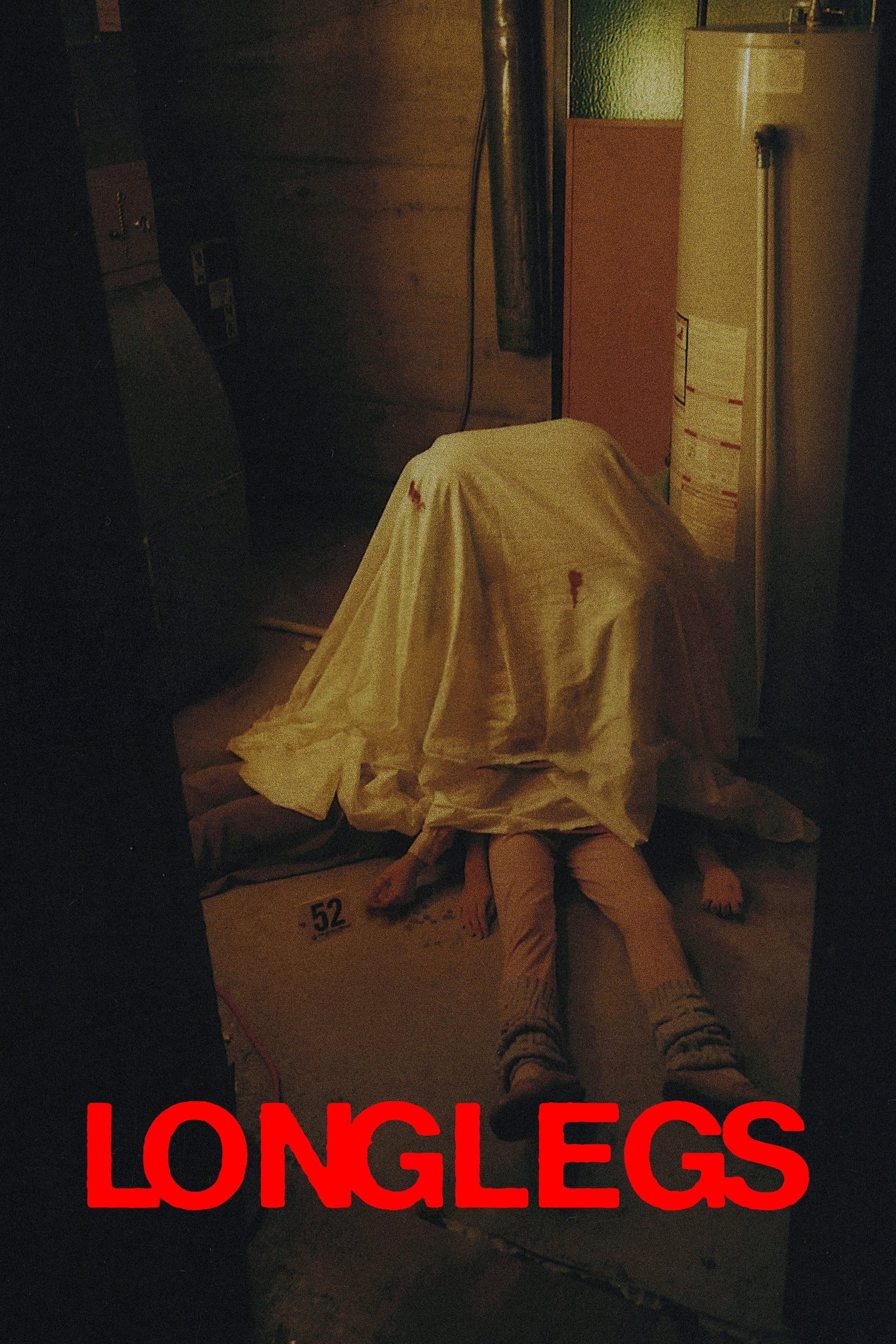Longlegs photo