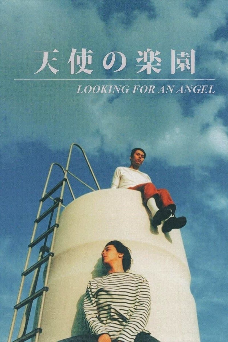 Looking for an Angel photo