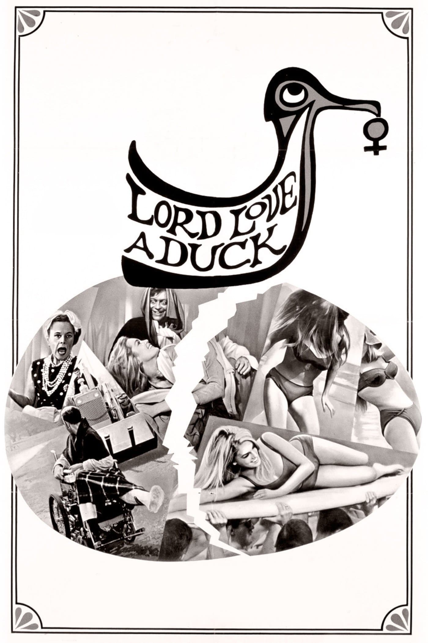 Lord Love a Duck photo