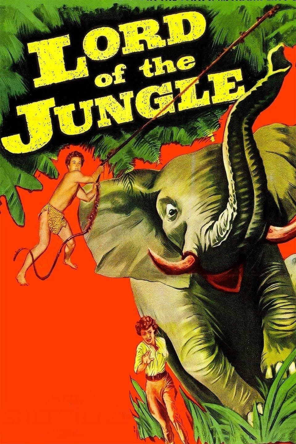 Lord of the Jungle photo