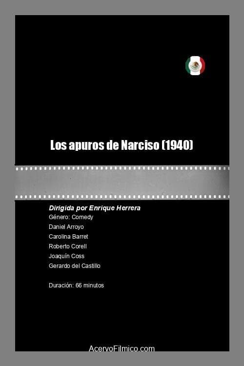 Los apuros de Narciso photo